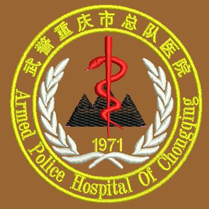 武警重庆市总队医院工作服（刺绣）